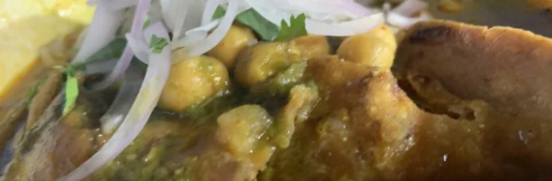 Vishal Chat Bhandar Samosa Chaat
