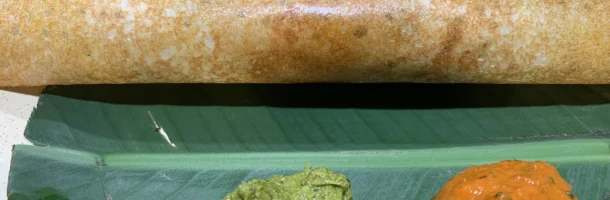 best south indian baner