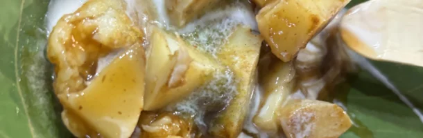 Aloo Chat Jain Chat Bhandar